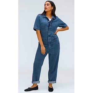 Everlane Blue Denim Jumpsuit